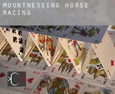 Mountnessing  horse racing