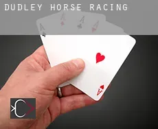 Dudley  horse racing