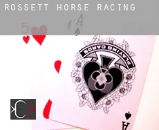 Rossett  horse racing