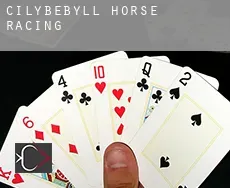 Cilybebyll  horse racing