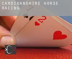 Cardiganshire County  horse racing