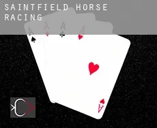 Saintfield  horse racing