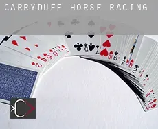 Carryduff  horse racing