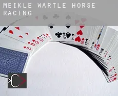 Meikle Wartle  horse racing