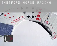 Thetford  horse racing