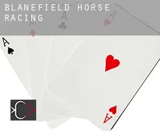 Blanefield  horse racing