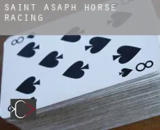 St Asaph  horse racing