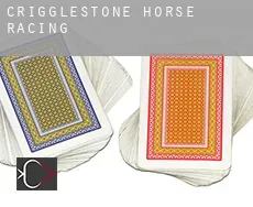 Crigglestone  horse racing