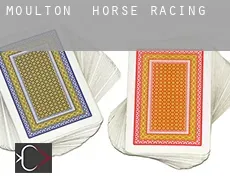 Moulton  horse racing