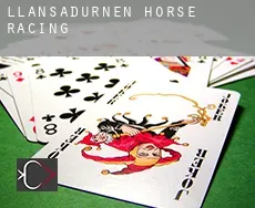 Llansadurnen  horse racing