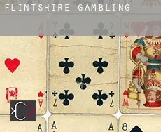 Flintshire County  gambling