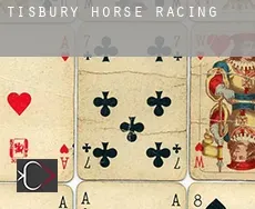 Tisbury  horse racing