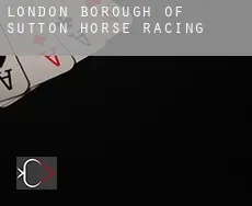 Sutton  horse racing