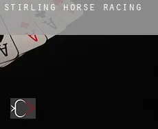 Stirling  horse racing