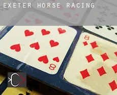 Exeter  horse racing