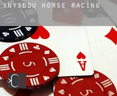 Ynysddu  horse racing