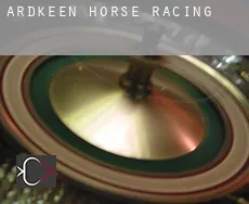 Ardkeen  horse racing