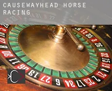 Causewayhead  horse racing