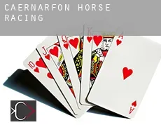 Caernarfon  horse racing