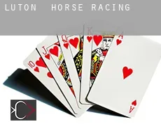 Luton  horse racing