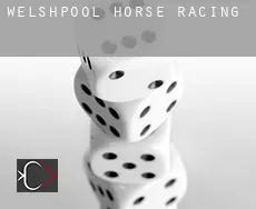 Welshpool  horse racing