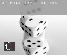 Wrexham (Borough)  horse racing