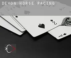 Devon  horse racing