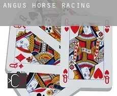 Angus  horse racing