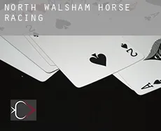 North Walsham  horse racing