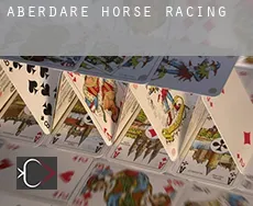 Aberdare  horse racing