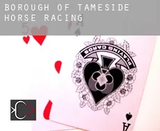 Tameside (Borough)  horse racing